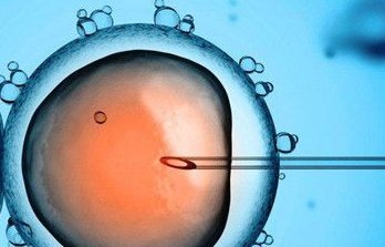 四川大学华西第二医院试管成功率高的原因有哪些？