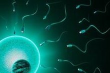 最新承德试管婴儿医院排名