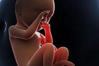 北京试管婴儿费用全揭秘，透明报价不花冤枉钱